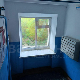 ЧЕЛЮСКИНЦЕВ, 83В